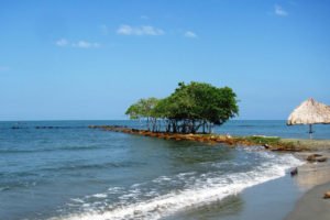 Tolú y Coveñas Fleet and Rent of a Campervan