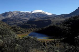 National Park Los Nevados Fleet and Rent of a Campervan