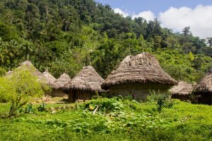 Ciudad Perdida Fleet and Rent of a Campervan