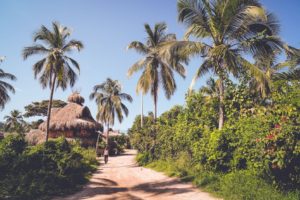Mompox Fleet and Rent of a Campervan